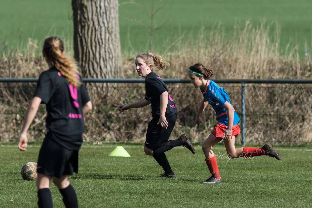 Bild 102 - C-Juniorinnen SV Steinhorst/Labenz - TSV Friedrichsberg-Busdorf : Ergebnis: 5:0